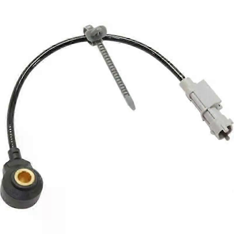 392502b000 Klopfsensor Passend Für Hyundai Accent, Kia Rio, Soul, Veloster-jxlgv