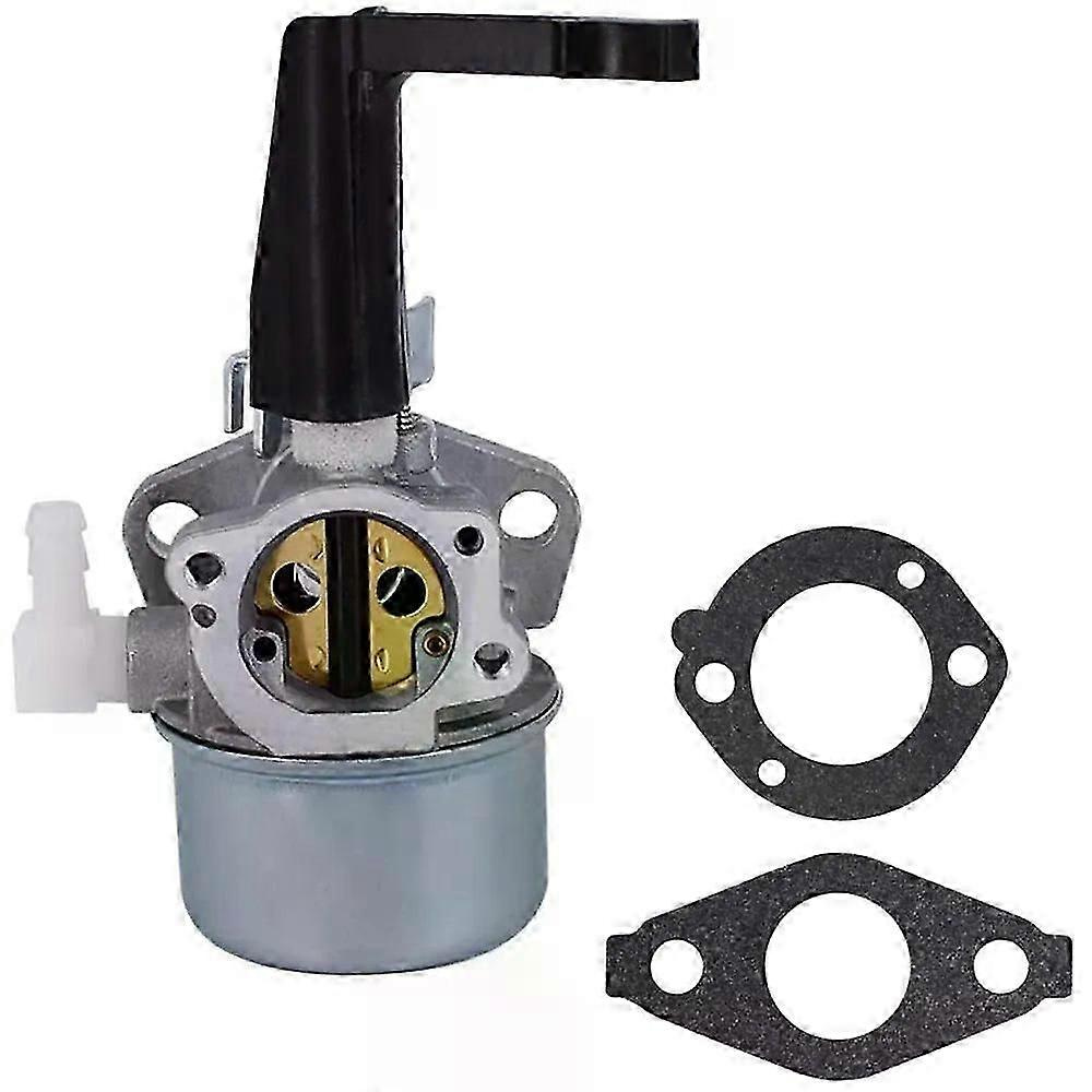 696065 697422 Vergaser Mit Montagedichtungssatz Passend Für Briggs & Stratton 110402 110412 215369-jxlgv