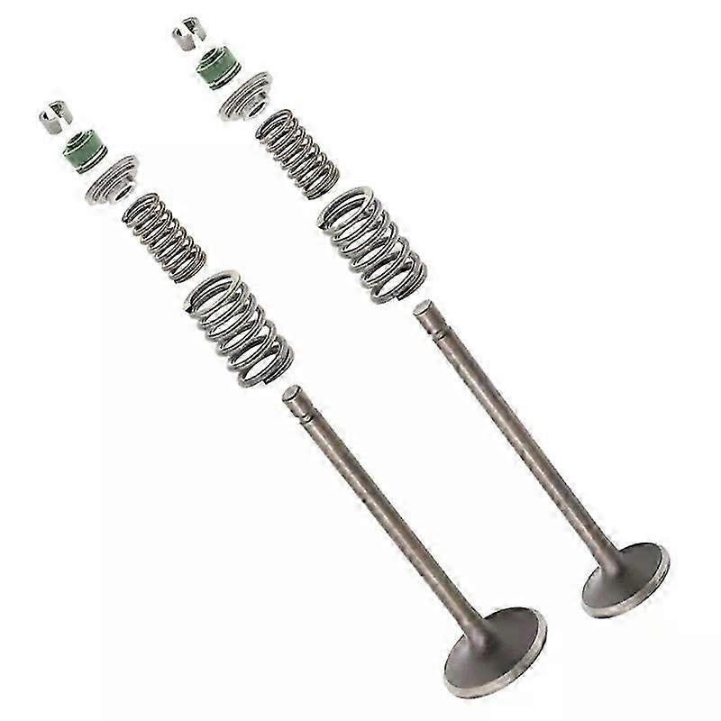 Passend Für Honda Xr200 Xr200r 1980 - 2002 Atc200/e/es/m/x/s Zylinderkopf Einlass Auslass Ventilfederdichtungssatz Xl185s Atv Motorcycle-jxlgv