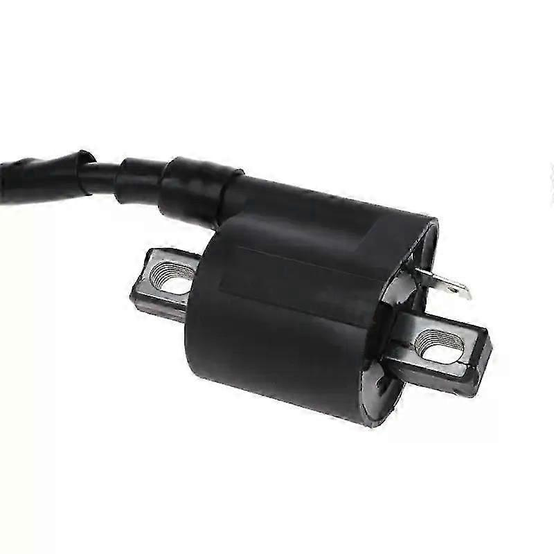 Zündspule Für Offroad-motorräder, Passend Für Gy6-roller, Go-karts, Dirtbikes (50 Cm³, 150 Cm³, 200 Cm³, 250 Cm³), Motocross-motorräder, Atvs Und Quads (jxlgv)