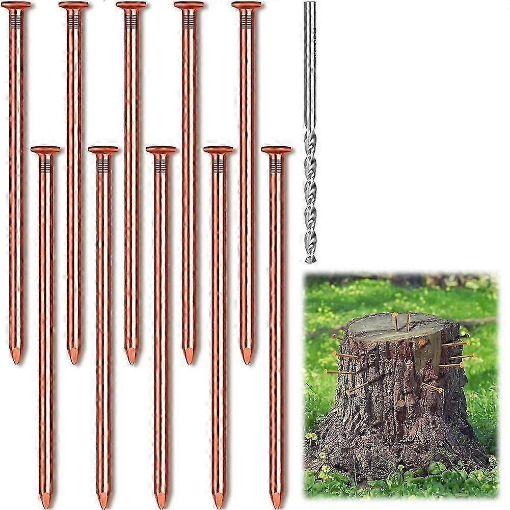 10 Stück Kupfernägel Zum Entfernen Von Baumstümpfen Und Wurzeln, 8 Cm Lange, Reine Kupfernägel, Großpackung Mit Bohrer, Stumpfentfernungsspitzen – Jxlgv