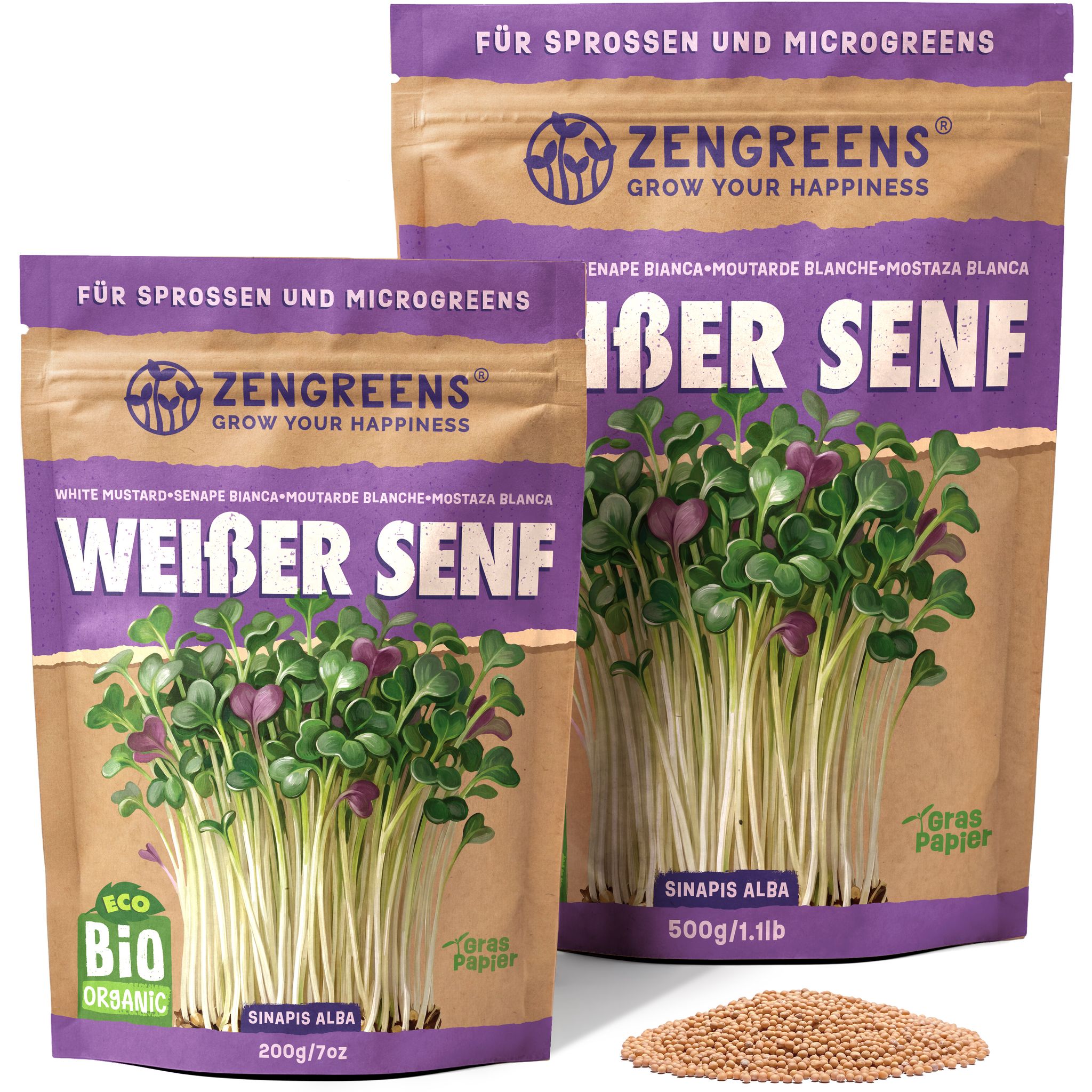 Bio Keimsaat Weißer Senf 500 G Sprossen Und Microgreens Zengreens