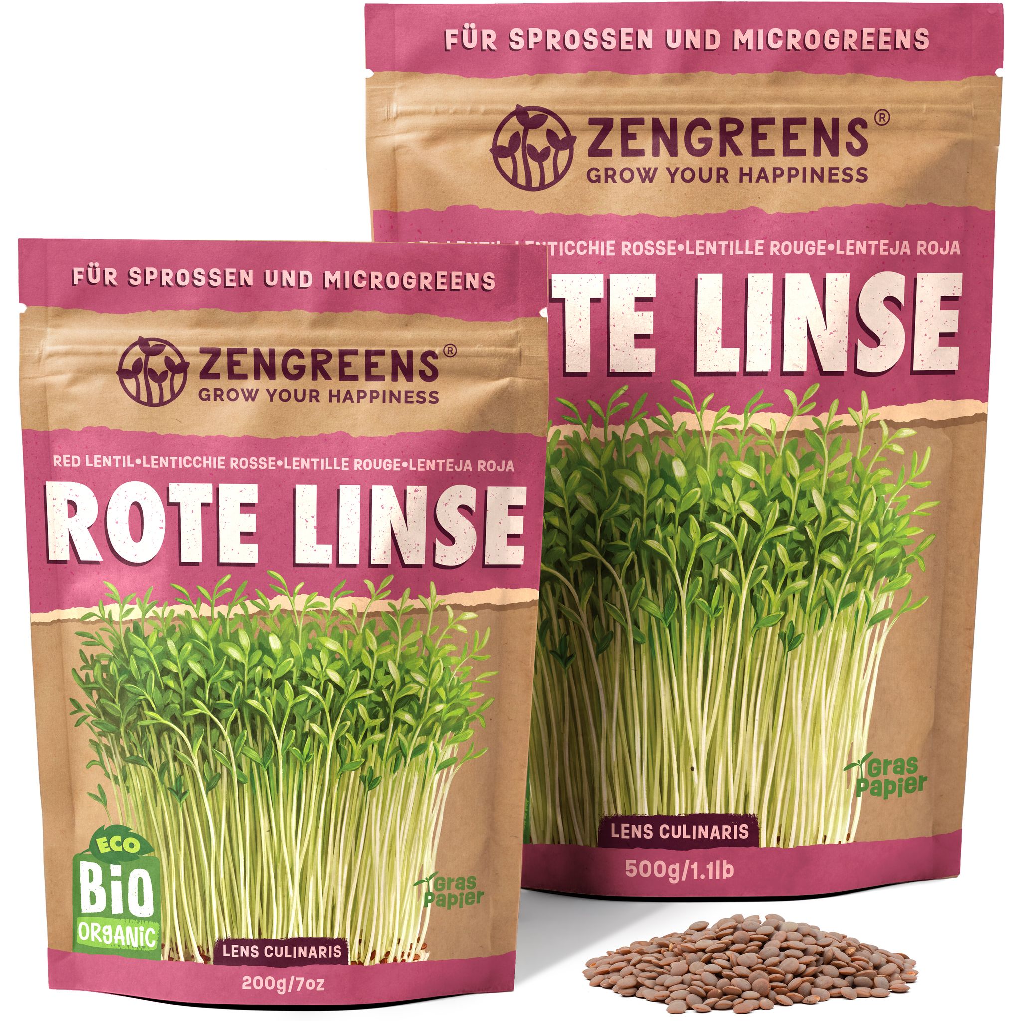 Bio Keimsaat Rote Linse 500 G Sprossen Und Microgreens Zengreens