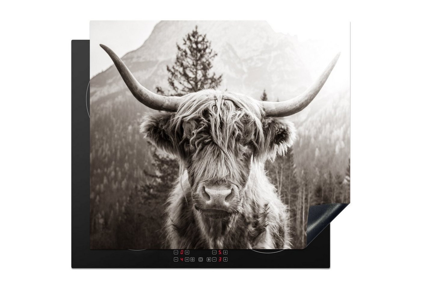MuchoWow Herd-Abdeckplatte Schottischer Highlander - Tiere - Schwarz - Weiß, Vinyl, (1 tlg), Küche Herdabdeckplatte Ceranfeld Vinyl Einteilig, 59x52 cm Bild 2