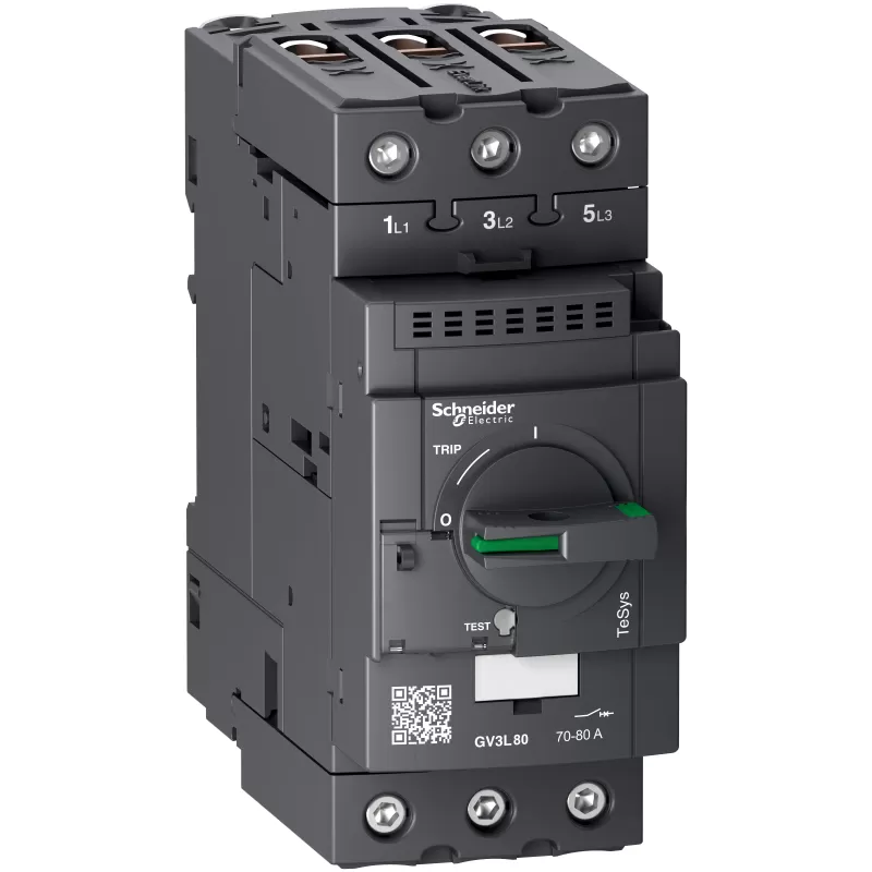 Schneider Electric Mot.sch.schalt Magn. 80a Everl (gv3l80)