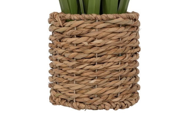 Künstliche Topfpflanze Zya Grün H91cm - Atmosphera Créateur D'Intérieur