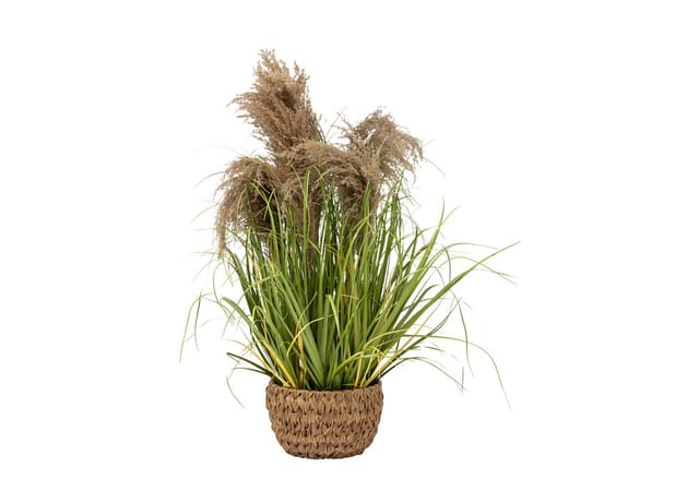 Künstliches Gras Maxime Im Flechttopf, 80 Cm
