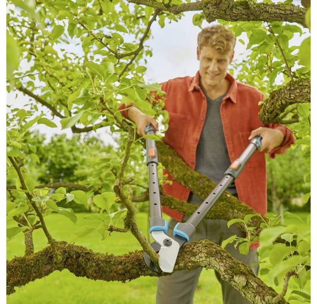Astschere Telecut Pro L, Teleskopierbare Astschere Für Frisches Holz