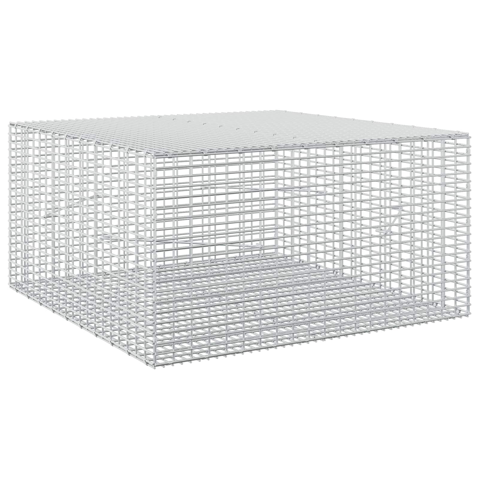 Gabione Mit 3,5 Mm Draht Und 5x2,5 Cm Maschen 100x100x50 Cm Vidaxl