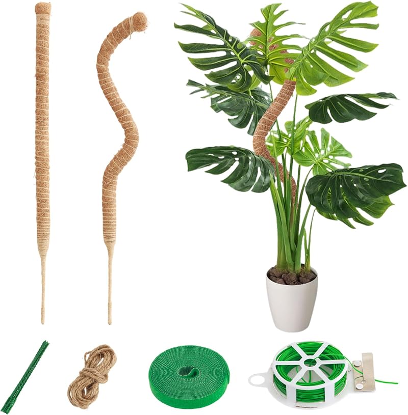 Cnmtcco Set Mit 2 Monstera-stützen, 60 Cm, Aus Kokosfaser, Mit Zubehör, Ideal Für Den Anbau Von Kletternden Monstera Im Garten.