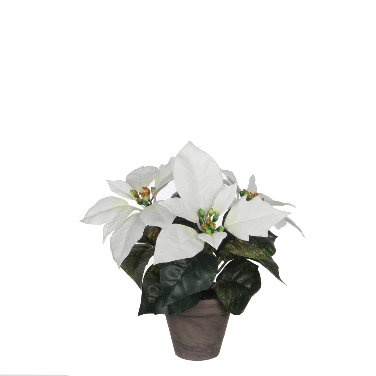 Mica Weihnachtsdeko Poinsettia weiß im Topf 25 x 9 cm grau