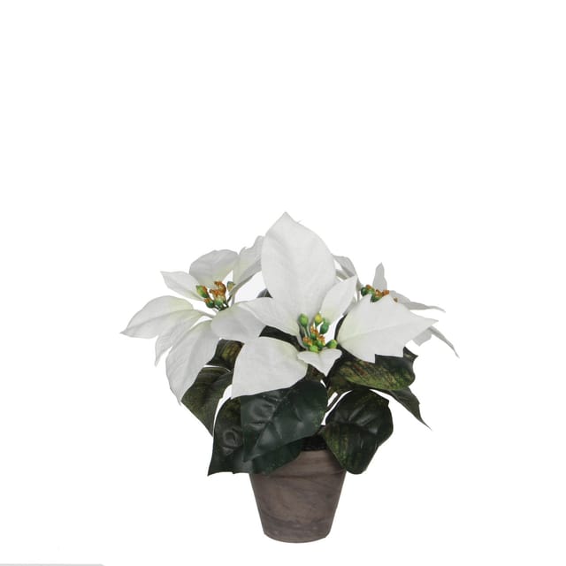 Mica Weihnachtsdeko Poinsettia weiß im Topf 25 x 9 cm grau