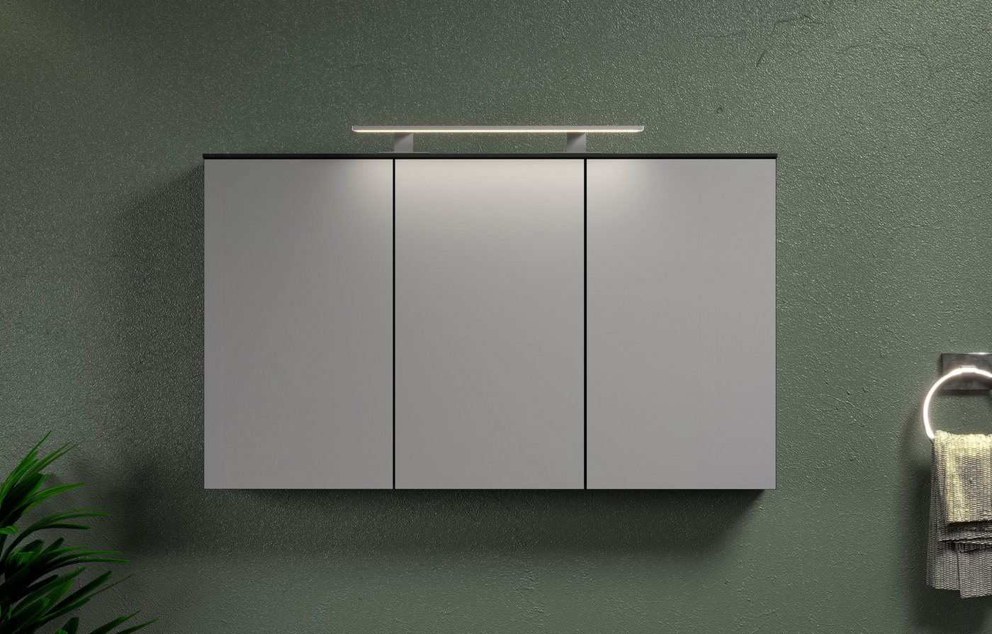welltime Spiegelschrank Premont (1-St) Breiter Badspiegel mit 3 Spiegeltüren und 9 Fächern - Soft-Close Bild 3