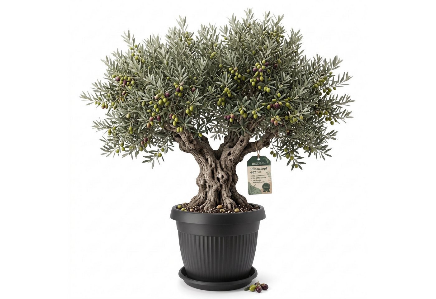 BigDean Blumentopf Pflanzkübel groß ø62cm Anthrazit rund mit Untersetzer wetterfest (Set, 1 St., Blumentop +Untersetzer), Wasserablauf, UV-beständig, aus bruchsicherem Kunststoff Bild 5