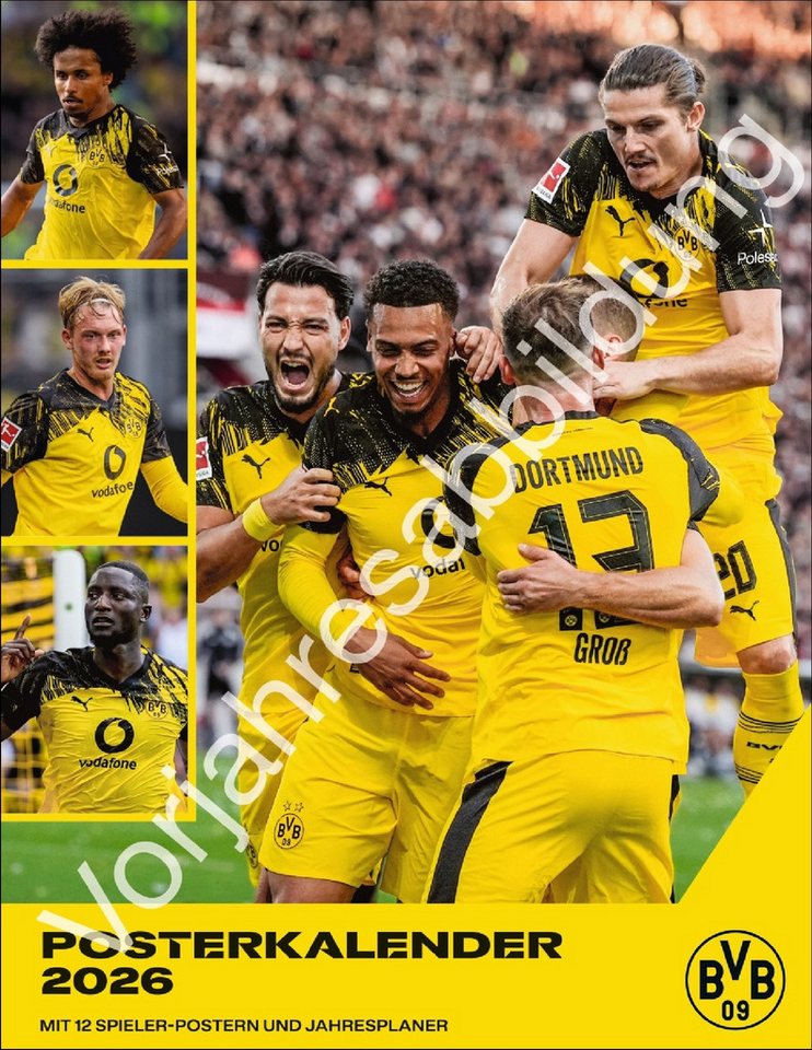Athesia Kalenderverlag Wandkalender BVB Posterkalender 2027