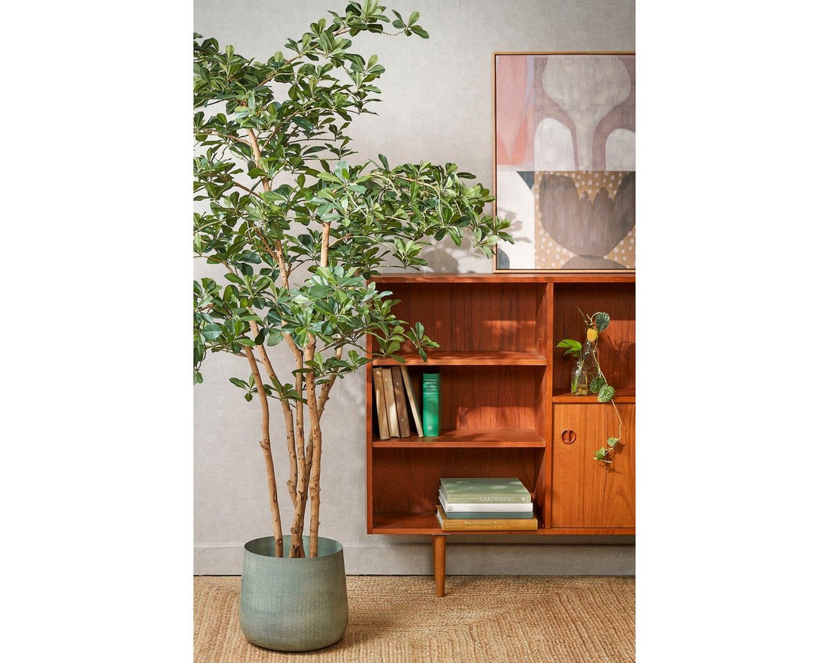 Kunstpflanze Mica Decorations Oriental Olivenbaum gruen - h183xd130cm, Mica Decorations, Höhe 183 cm
