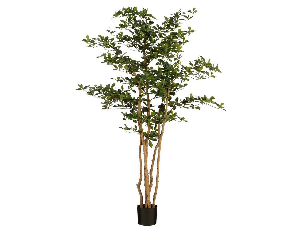 Kunstpflanze Mica Decorations Oriental Olivenbaum gruen - h183xd130cm, Mica Decorations, Höhe 183 cm Bild 2