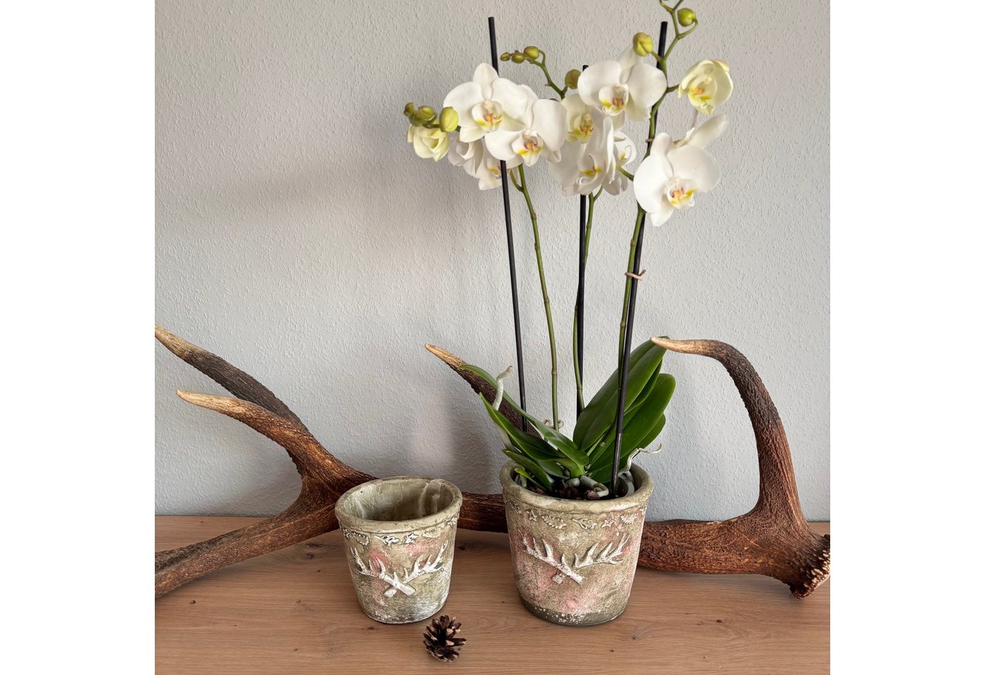 Online-Fuchs Blumentopf 2 Blumentöpfe im Set mit Hirschgeweih im Vintage Look (für Blumen, Pflanzen und Kräuter), Hirschgeweih und Blätter im 3D-Design