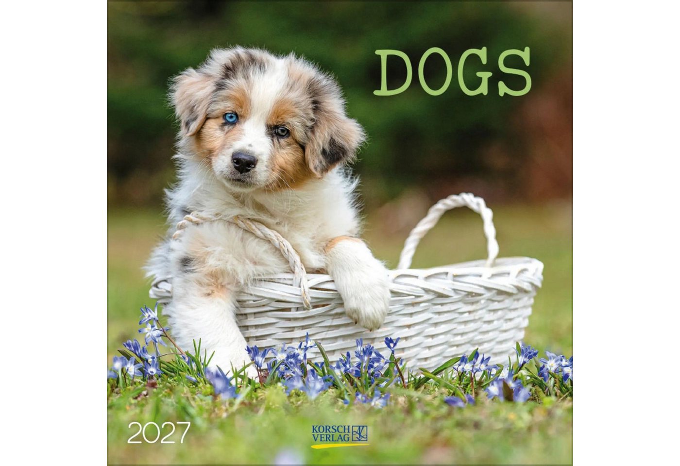 Korsch Verlag Wandkalender Dogs 2027 Bild 2