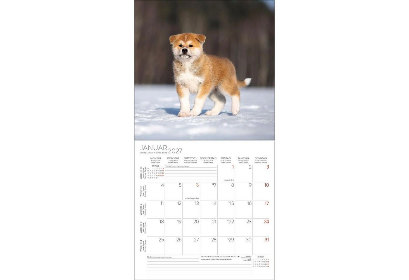 Korsch Verlag Wandkalender Dogs 2027 Bild 3