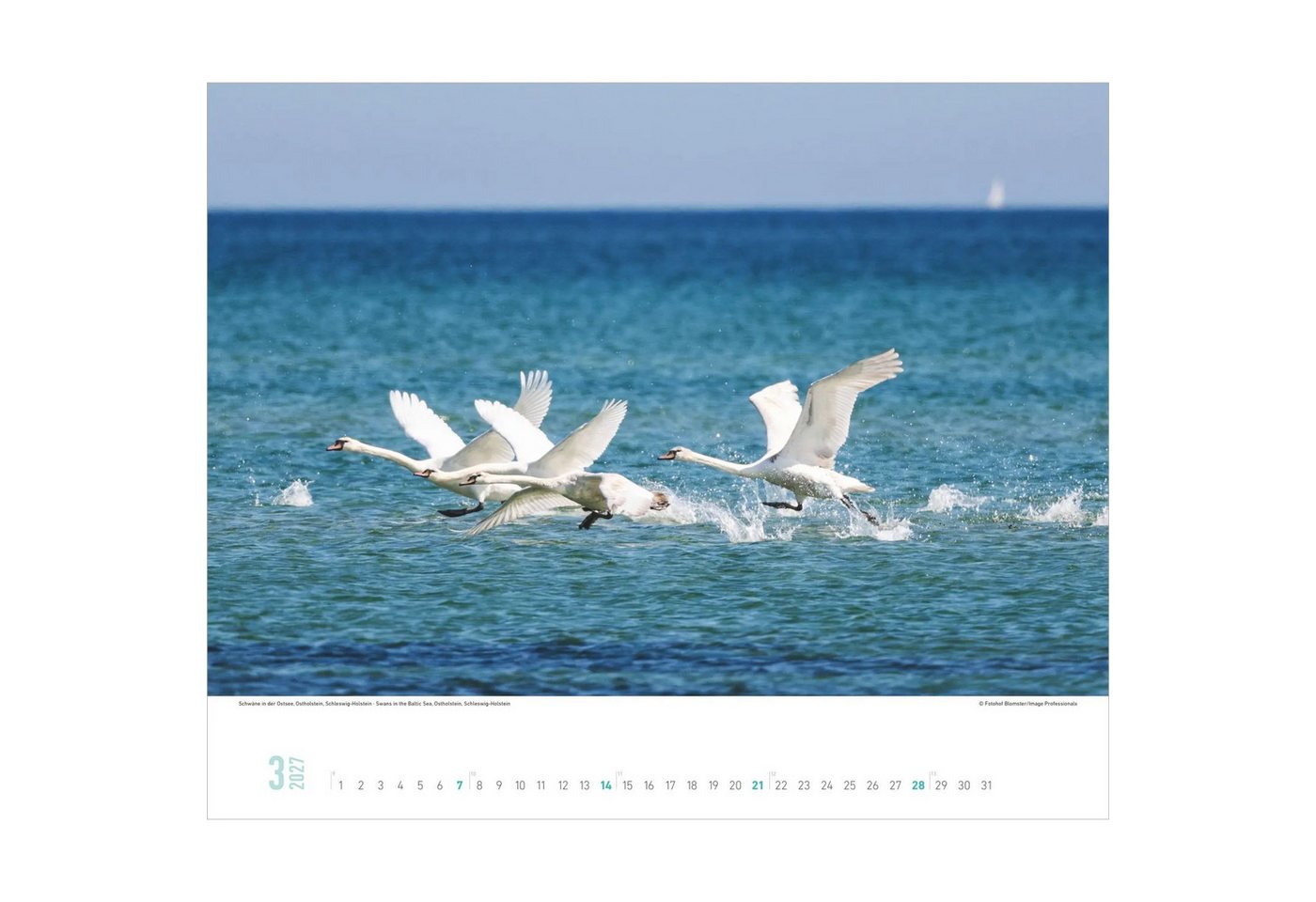 Alpha Edition Wandkalender Faszinierende Ostsee 2027 Bild 2