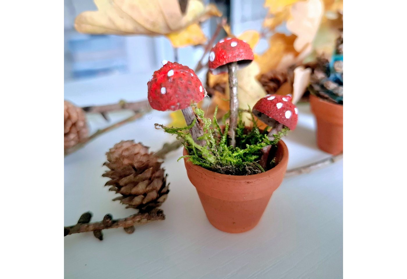 meytrade Bastelnaturmaterial 50 Natürliche Eichelschalen Eichelhütchen zum Basteln & Dekorieren, (50-tlg), für Herbstdeko, Tischdekoration, Streudeko