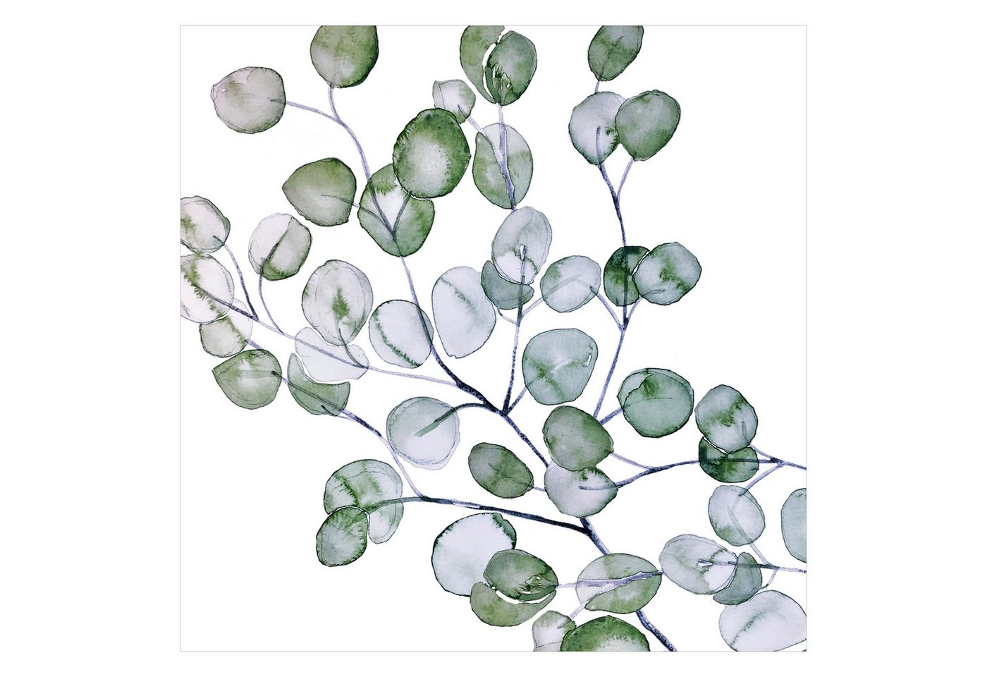 Bilderdepot24 Fototapete Blumen Grün Aquarell Eukalyptuszweig Blumentapete Floral Natur modern, Glatt, Matt, (Vliestapete inkl. Kleister oder selbstklebend), Wohnzimmer Schlafzimmer Küche Flur Motivtapete Vliestapete Wandtapete