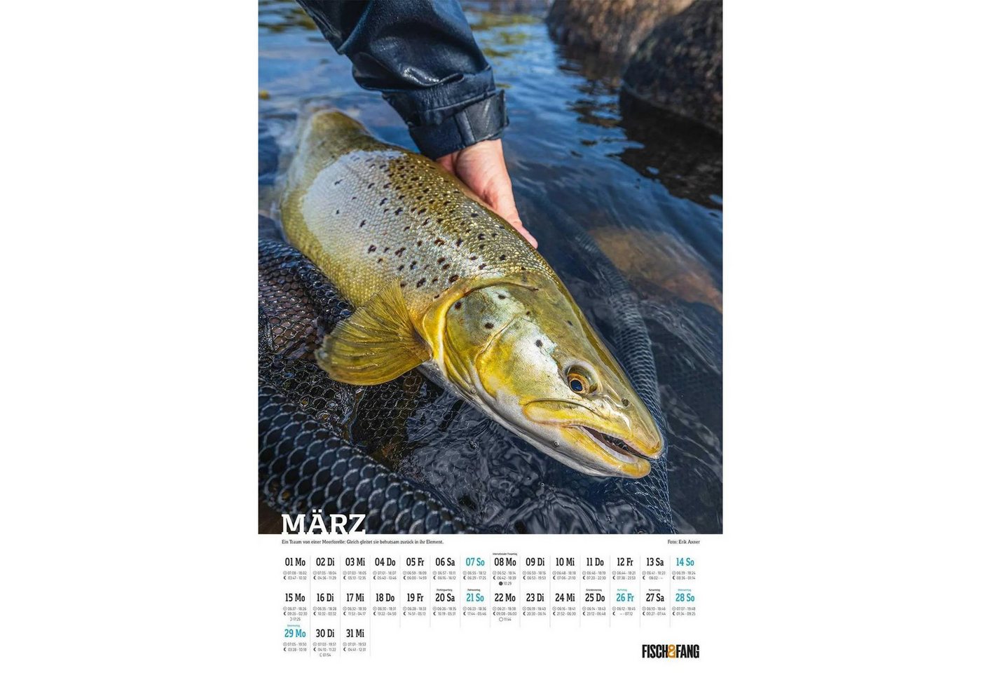 Wandkalender Fisch & Fang Edition: Anglerkalender 2027 Bild 2