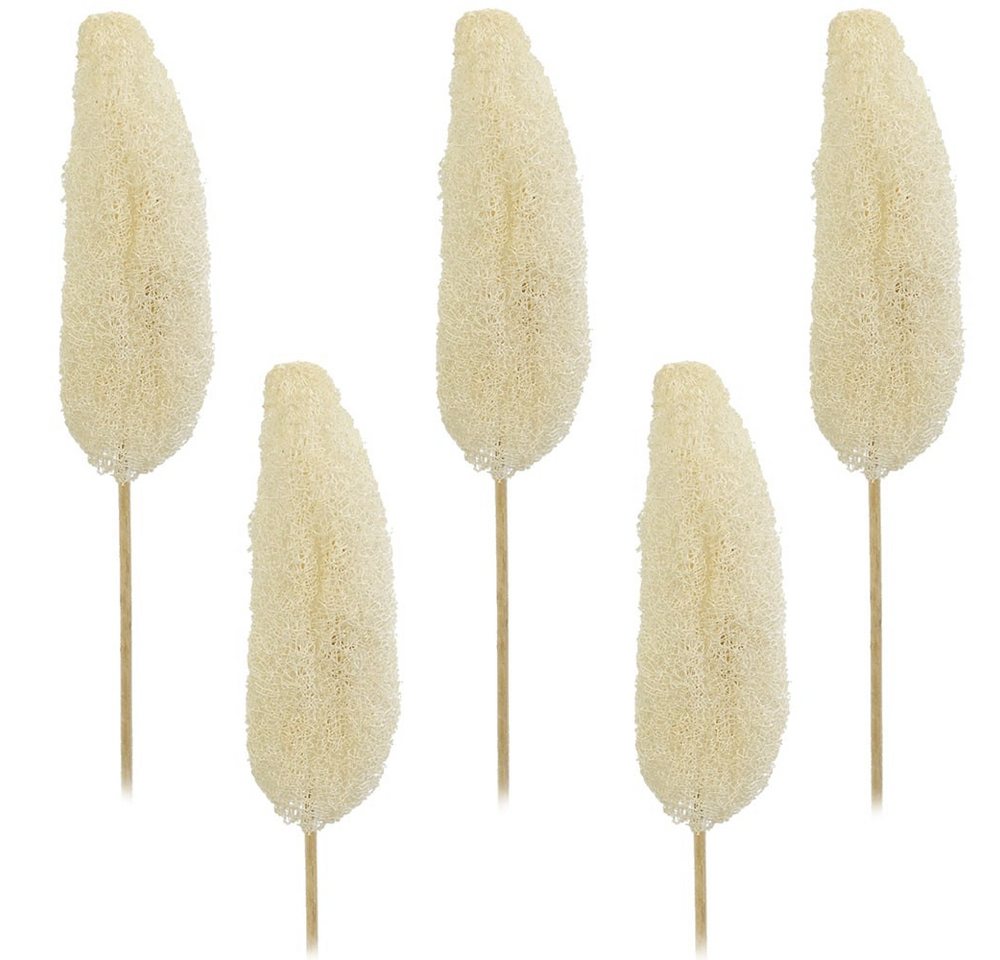 matches21 HOME & HOBBY Bilderrahmen Luffa am Stiel Trockenblumen gebleicht 5er Set ca. 10-15 cm, (5 St)