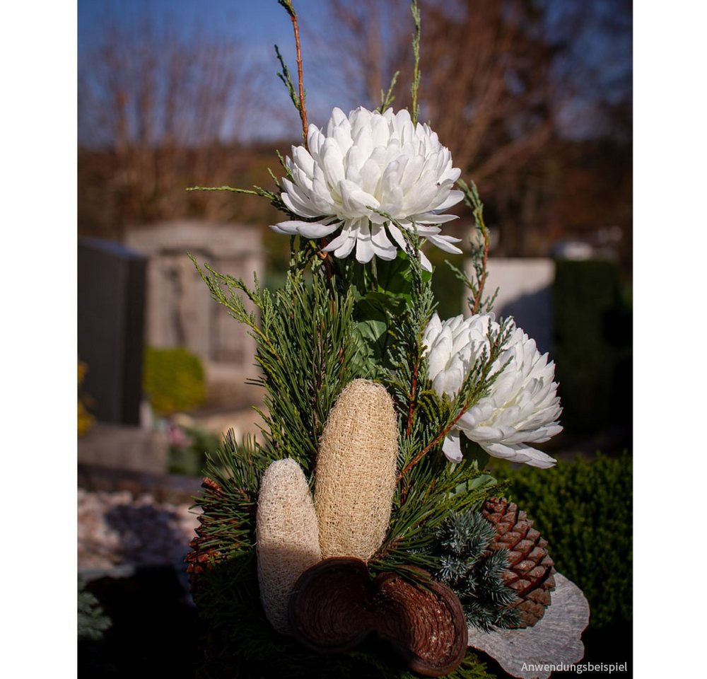 matches21 HOME & HOBBY Bilderrahmen Luffa am Stiel Trockenblumen gebleicht 5er Set ca. 10-15 cm, (5 St) Bild 3