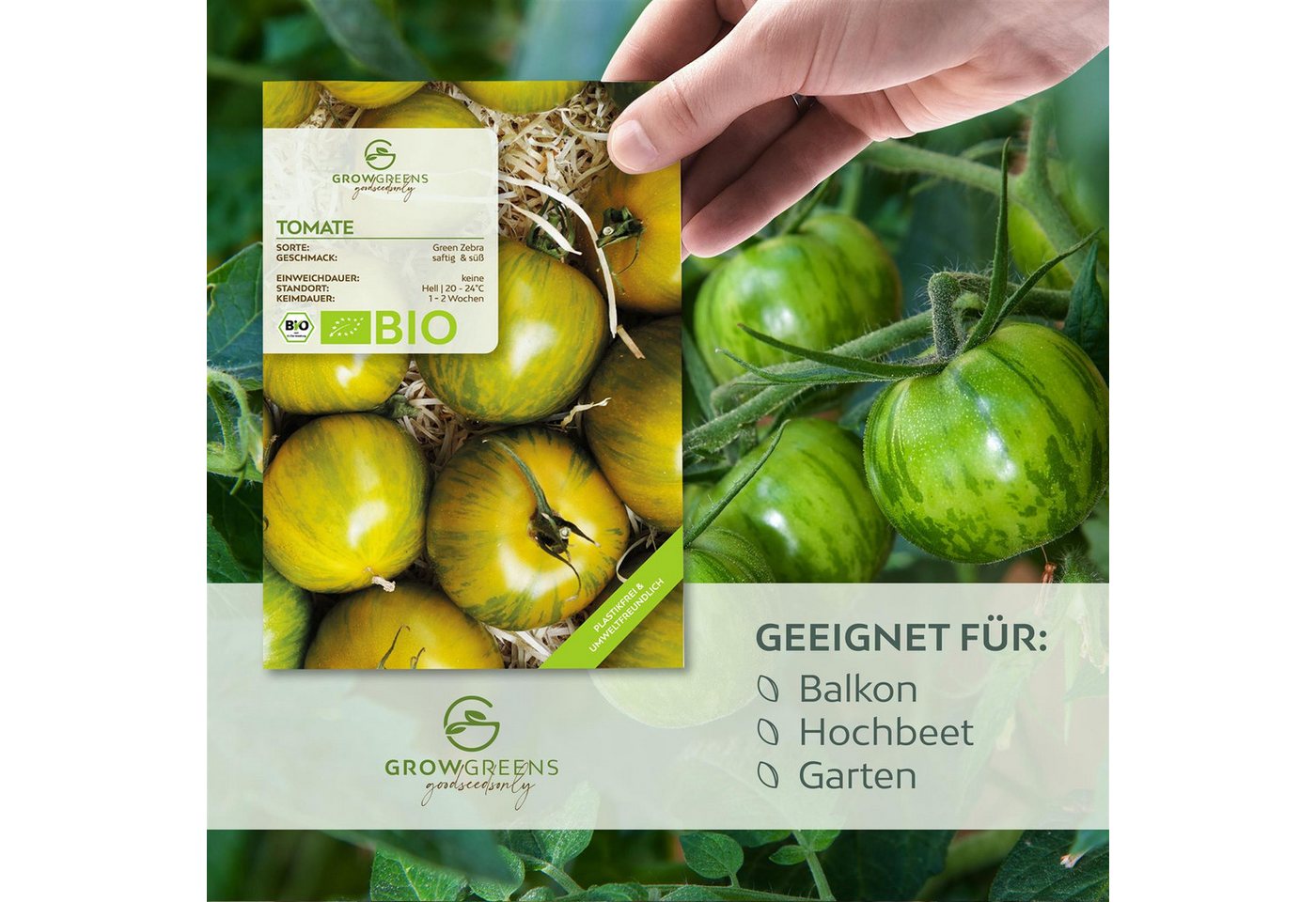 Growgreens Gemüsesamen BIO Tomatensamen (Green Zebra) - Tomaten Saatgut (10 Korn), Tomaten Bild 2