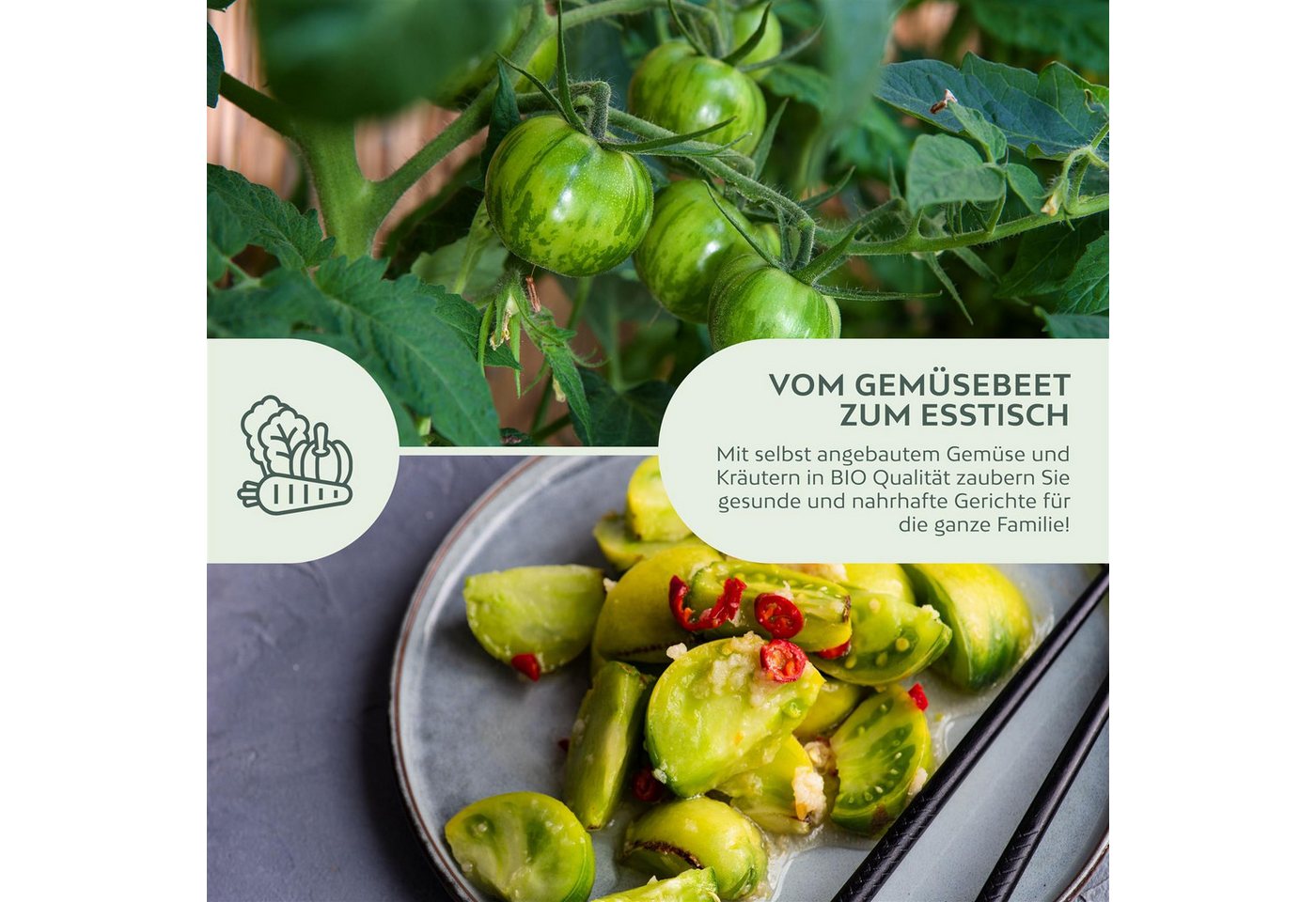Growgreens Gemüsesamen BIO Tomatensamen (Green Zebra) - Tomaten Saatgut (10 Korn), Tomaten Bild 3