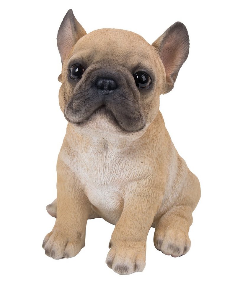 Dehner Gartenfigur Französische Buldogge Welpe, 18 x 16.5 x 13 cm, Gartendeko aus wetterfestem Polyresin Bild 2