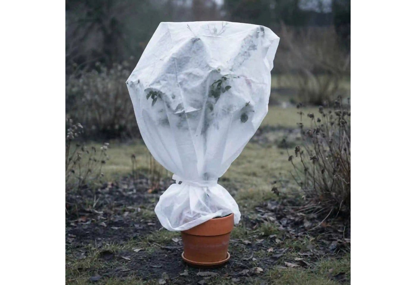 Florade Wintervlies, 1,6 m x 10 m · 50 g/m² Bild 4