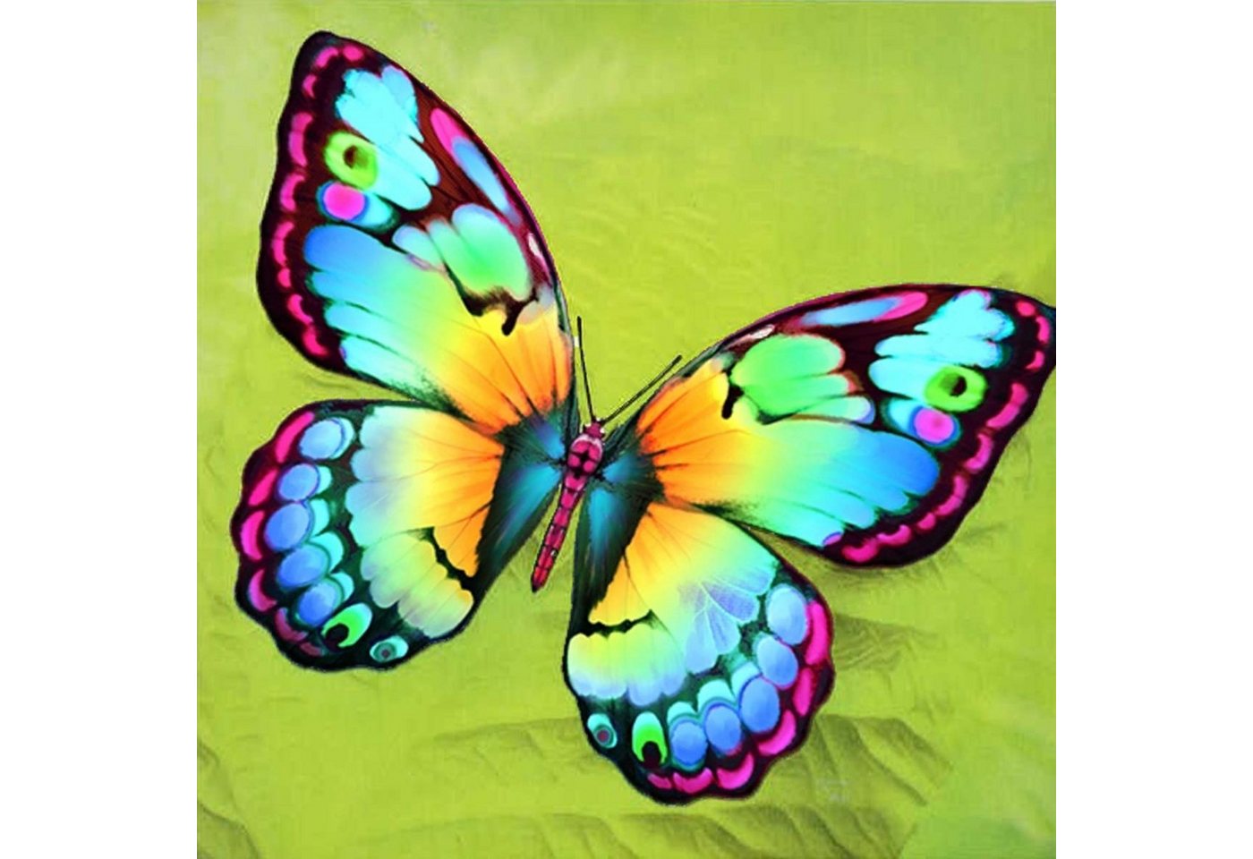 LA CUTE Malen nach Zahlen 5d Diamond Painting DIY Bunter Schmetterling Malen nach Zahlen 20x20cm (Komplettset für 5D Diamond Painting inklusive Leinwand, Diamanten und Werkzeugen, Diamond Painting Set mit Zubehör für DIY-Kreativität und Entspannung), 20x20cm 5D Diamond Painting mit präziser Klebeschicht & Zubehör Bild 2
