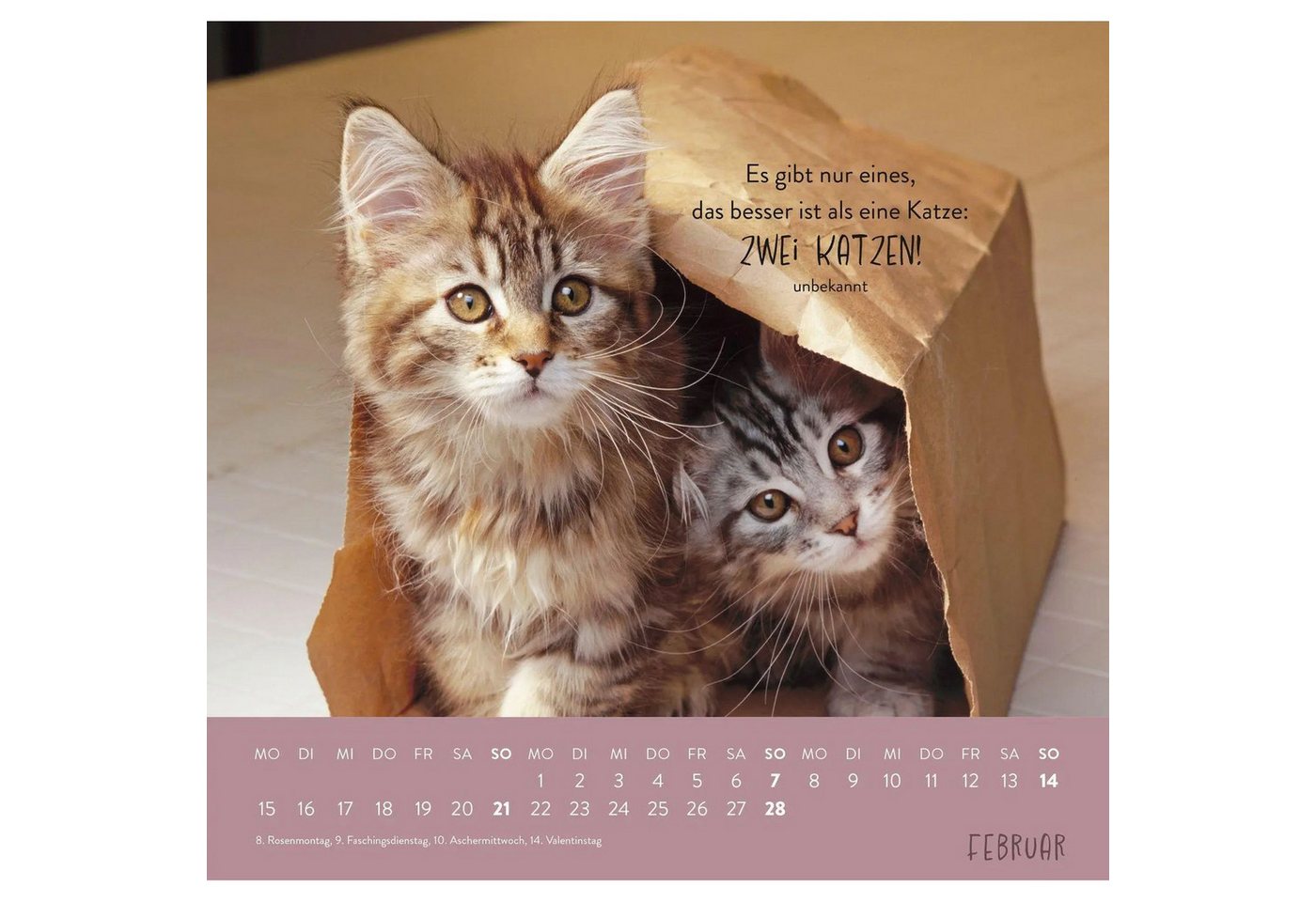 groh Verlag Wandkalender Wandkalender 2027: Für Katzenfreunde