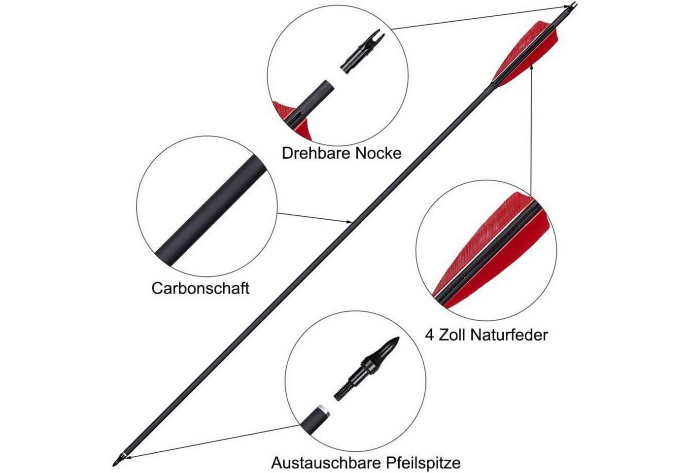 LuxusKollektion Carbonpfeil Pfeile Carbon 30 Zoll 12er Recurvebogen Compound Langbogen Feder Pfeil Bild 3