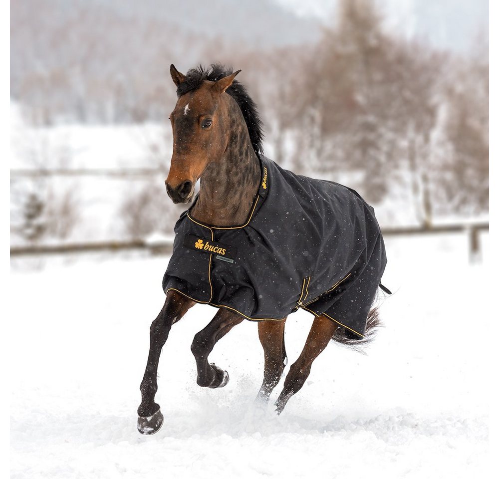 Bucas Pferde-Thermodecke Bucas Irish Turnout Medium 150g Classic - black/gold