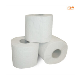 ZVG Toilettenpapier 2-lagig altweiß 250 Blatt/Rolle