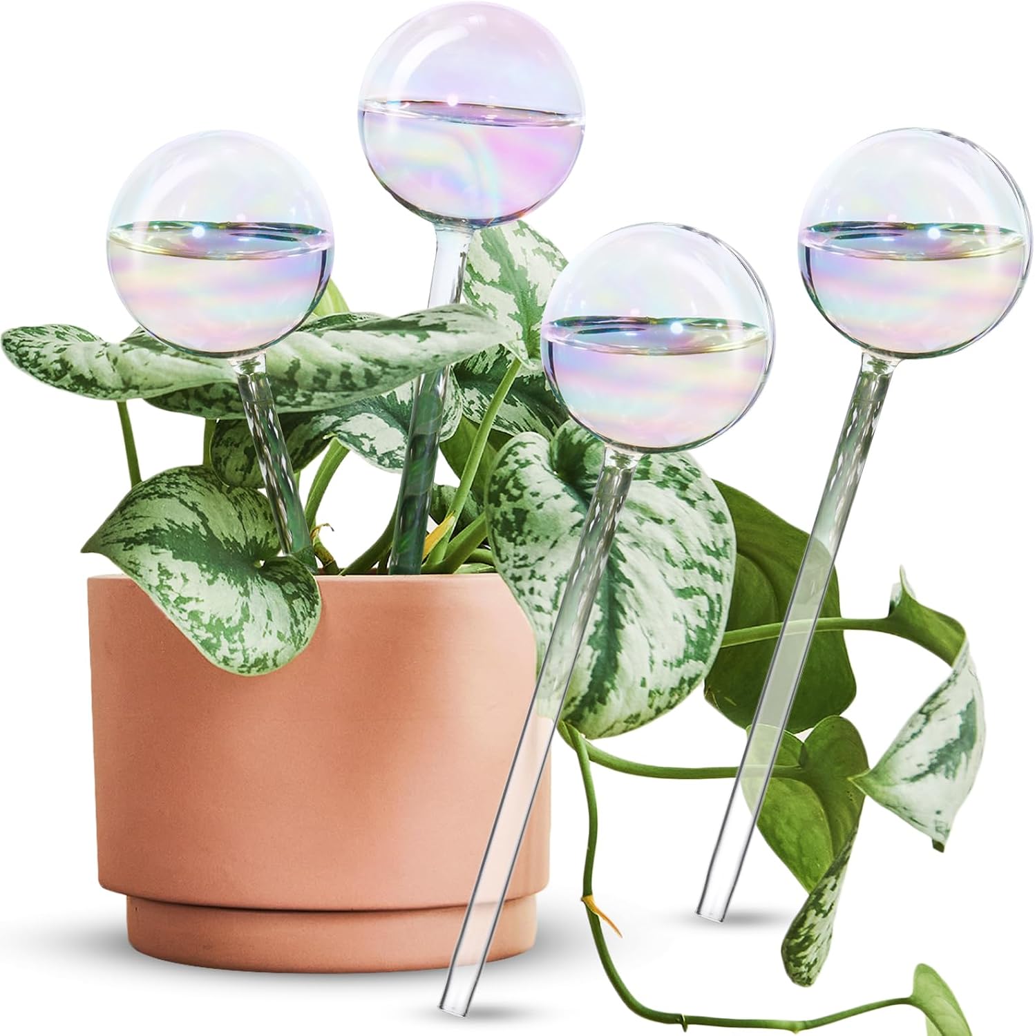 Bewässerungsspitzen – 4er-set – Mundgeblasenes Glas – Selbstbewässernd – Für Drinnen Und Draußen – Regenbogenfarben