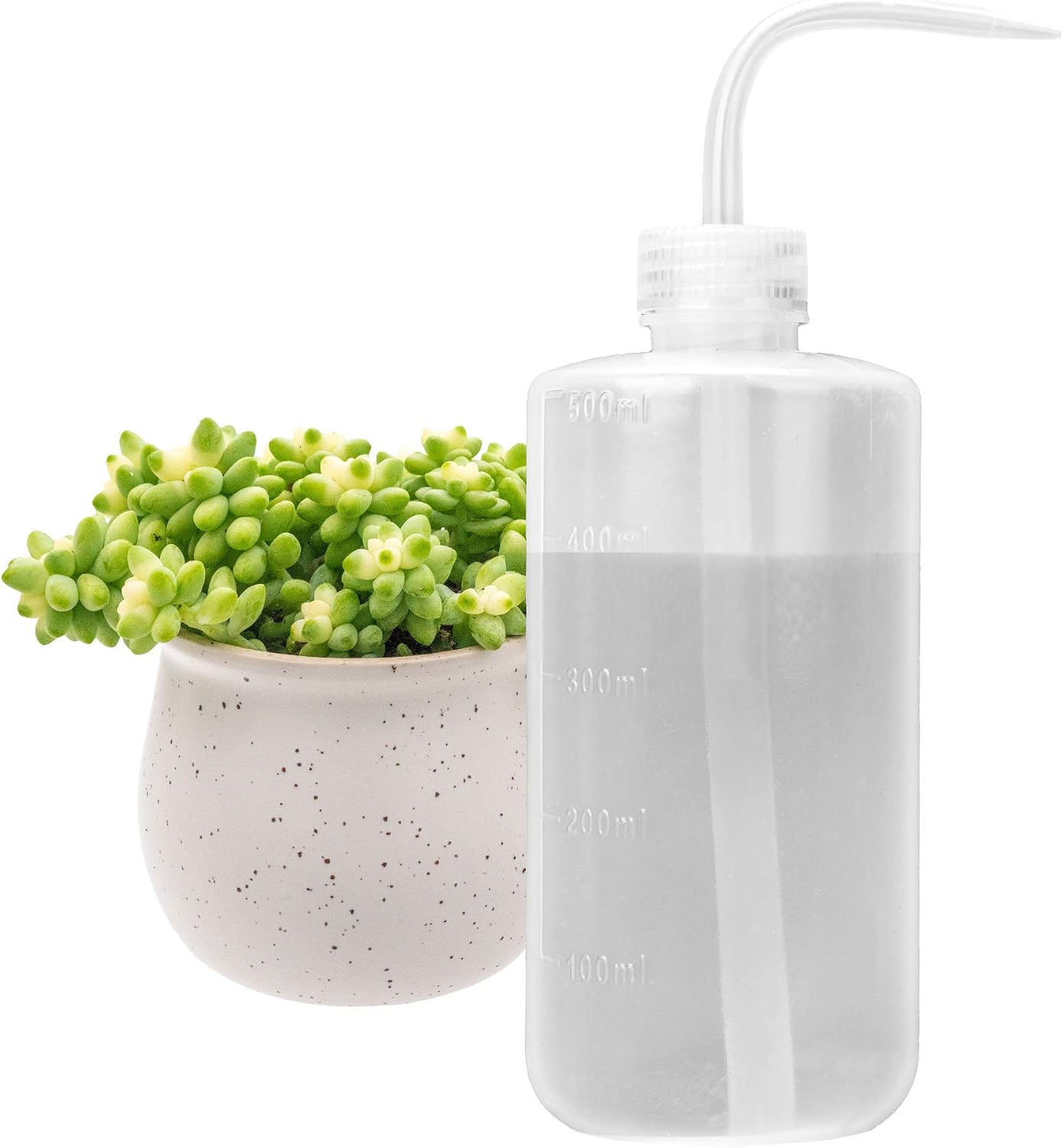 500-ml-gießkanne Aus Kunststoff – Druckbewässerung Für Zimmerpflanzen Wie Sukkulenten Und Bonsai