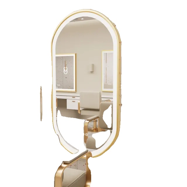 Badezimmerspiegel, Modernes Ovales Design, Frontbeleuchtung, 48 X 24 Zoll