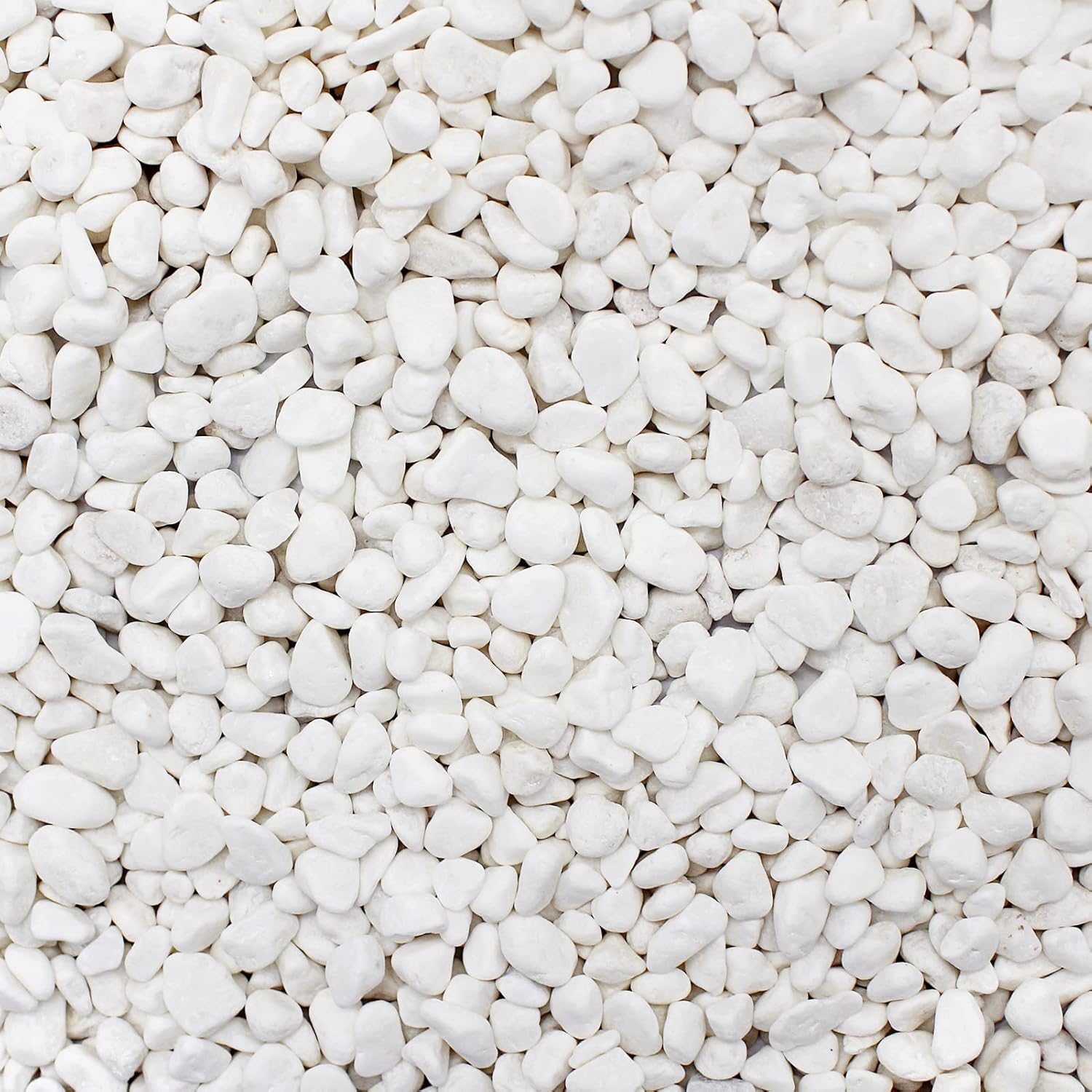Natürliche Weiße Kieselsteine – 1 Kg – Flusskiesel – Garten- Und Aquariendekoration – 0,9–1,2 Cm