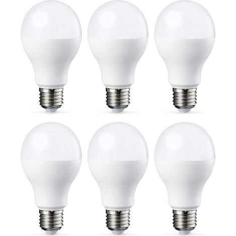 Lot De 6 Ampoules Led Culot Edison À Vis E27 18 W (équivalent 180 W) Blanc Froid Intensité Non Variable
