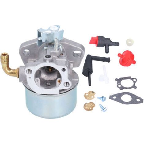 Carburateur Compatible Avec Briggs & Stratton 696981 698860 694508 795069 698859 790180 790290 693865 697354 698474 791991 698810 698857 698478 694174 690046 693751 791077 591299-