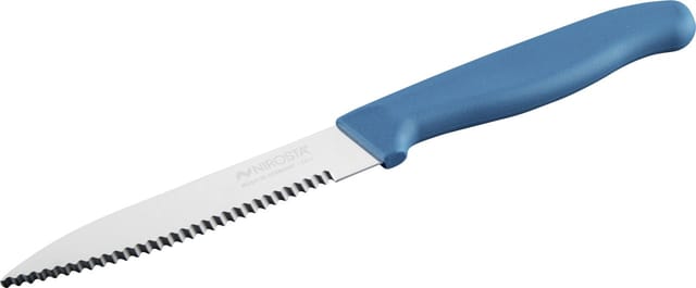 Nirosta Küchenmesser Elemental 21,5 Cm Blau/silber