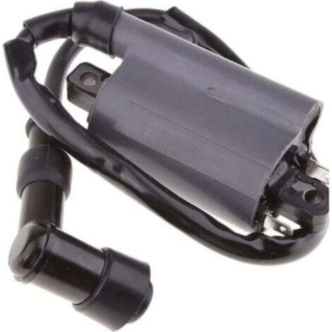 Bobine D'Allumage Für Buyang, Xu, 260 260cc 300cc D300 G300 Motor, Produkt Von Hoher Qualität, Langlebig Und Zuverlässig, Ausgewählte Materialien, Normkonform, Einfach Zu Bedienen -