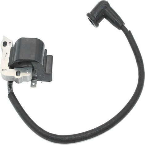 Ensemble De Bobine D'Allumage Haute Tension Adapté Aux Modèles 753-05447 Et 753-05828