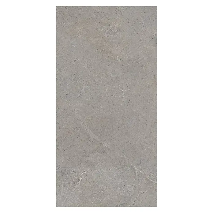 Palazzo Feinsteinzeugfliese Valdi (60 x 120 cm, Taupe, Matt)
