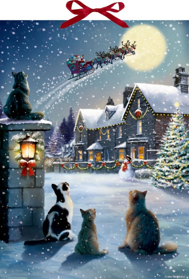 Coppenrath Tierkalender Katzen-Weihnacht, Wand-Adventskalender